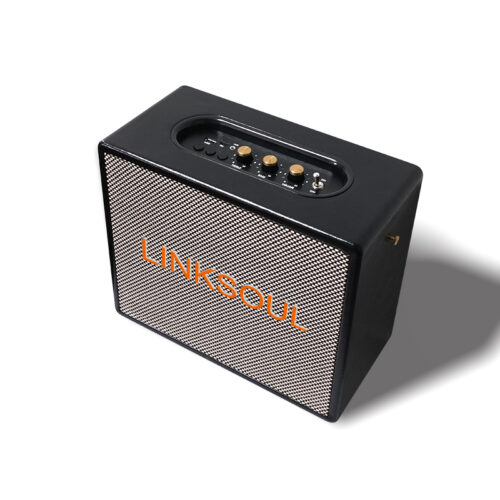 HT91 Leistungsstarker Karaoke-Bluetooth-Lautsprecher aus Holz